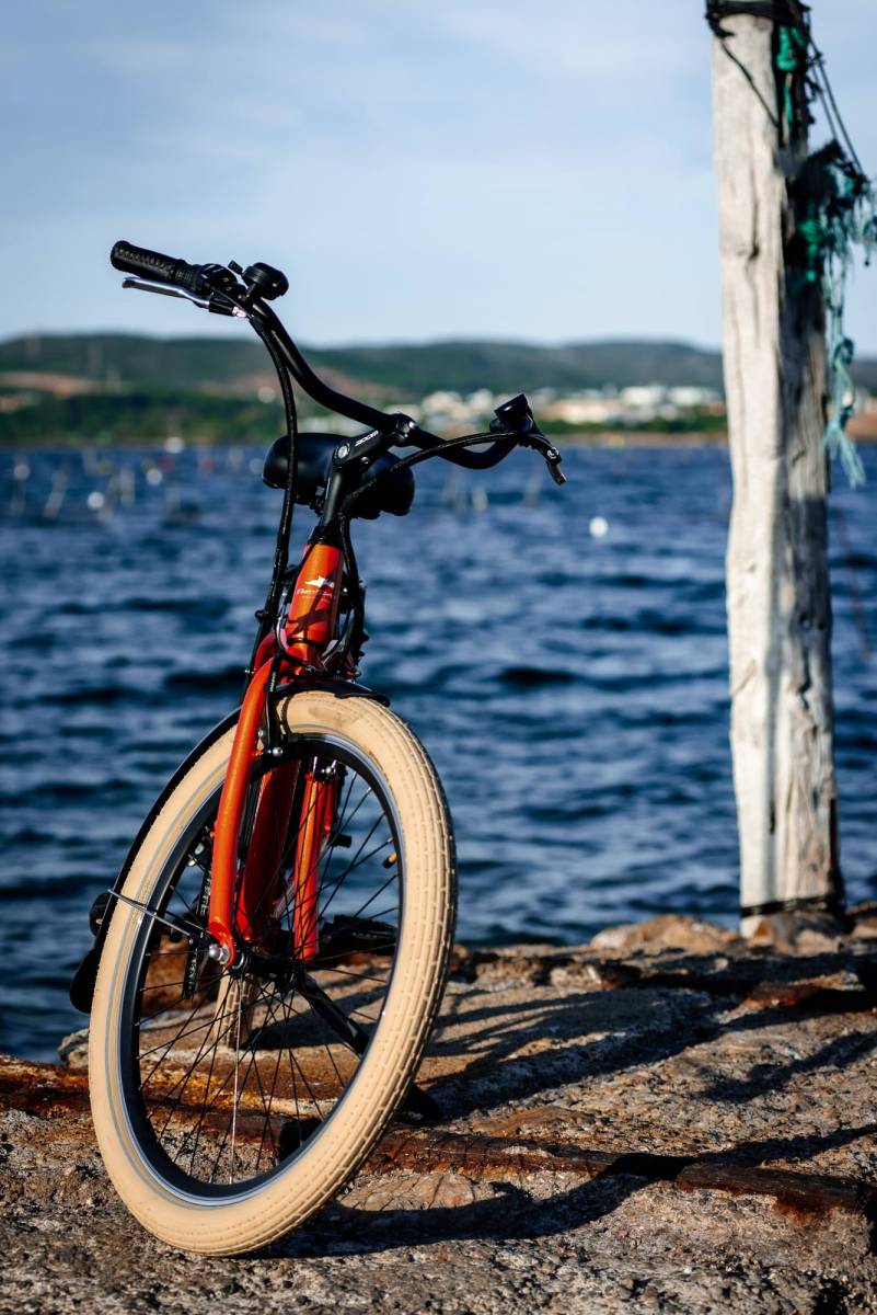 Vélo à assistance électriques aux pneus larges  SETE 