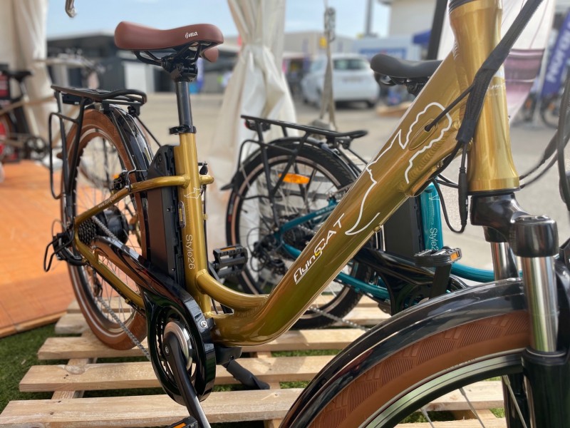 Vélo à Assitance Électrique de couleur sur la foire de Montpellier