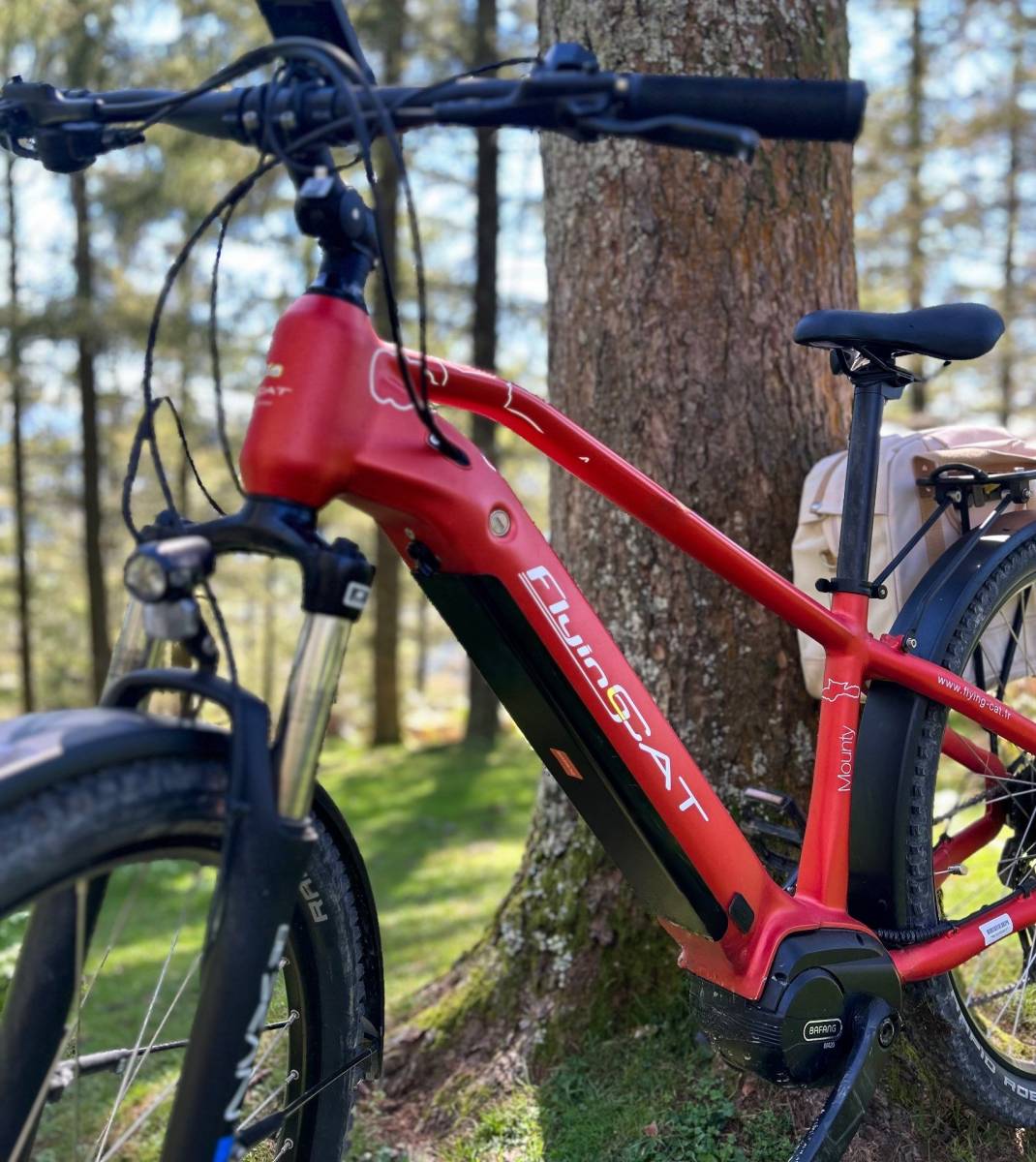 vélo puissant à Montpellier