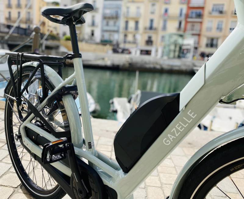 GAZELLE