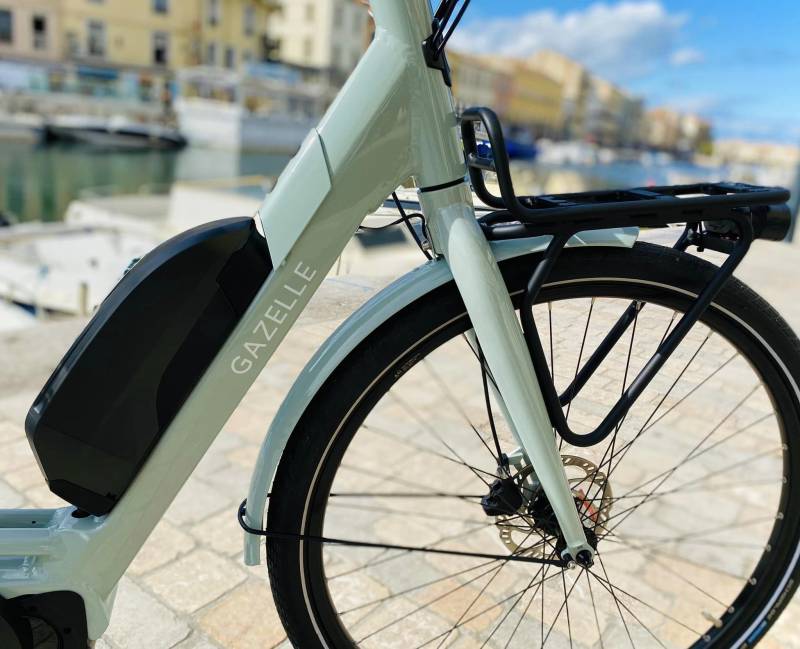 GAZELLE