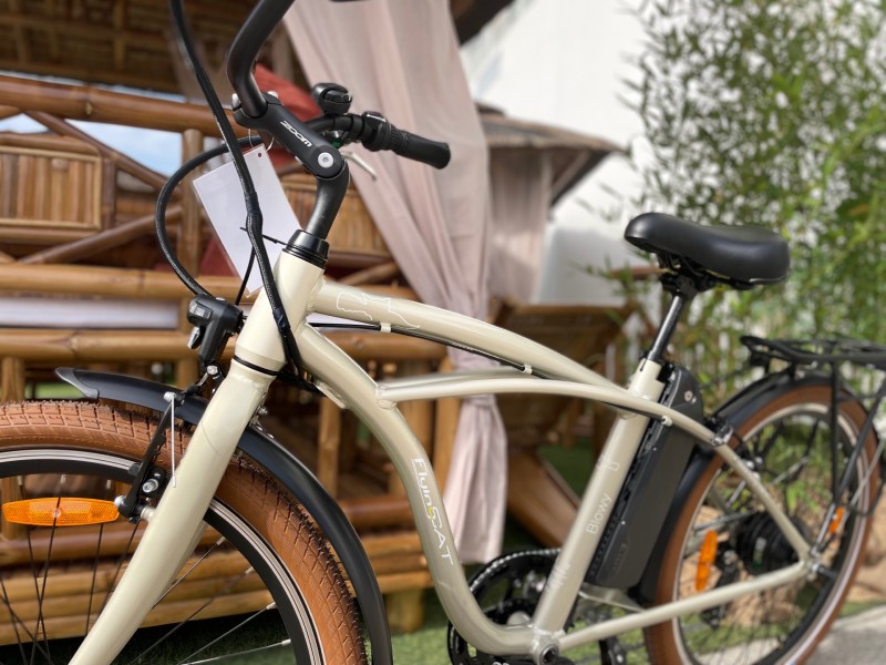 Vélo à Assitance Électrique de couleur sur la foire de Montpellier
