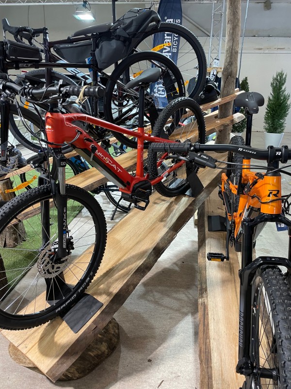 Vélo à assitance électrique puissant à Montpellier