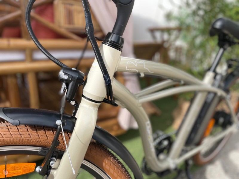 Vélo à Assitance Électrique de couleur sur la foire de Montpellier